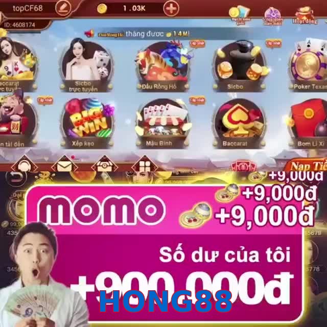 HONG88